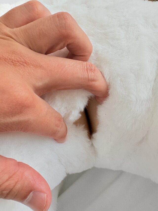 【画像】新潟のラブドールメーカーさんのエッチなラブドール(16万円)🧸がこちら FvnW04k - 【画像】新潟のラブドールメーカーさんのエッチなラブドール(16万円)🧸がこちら